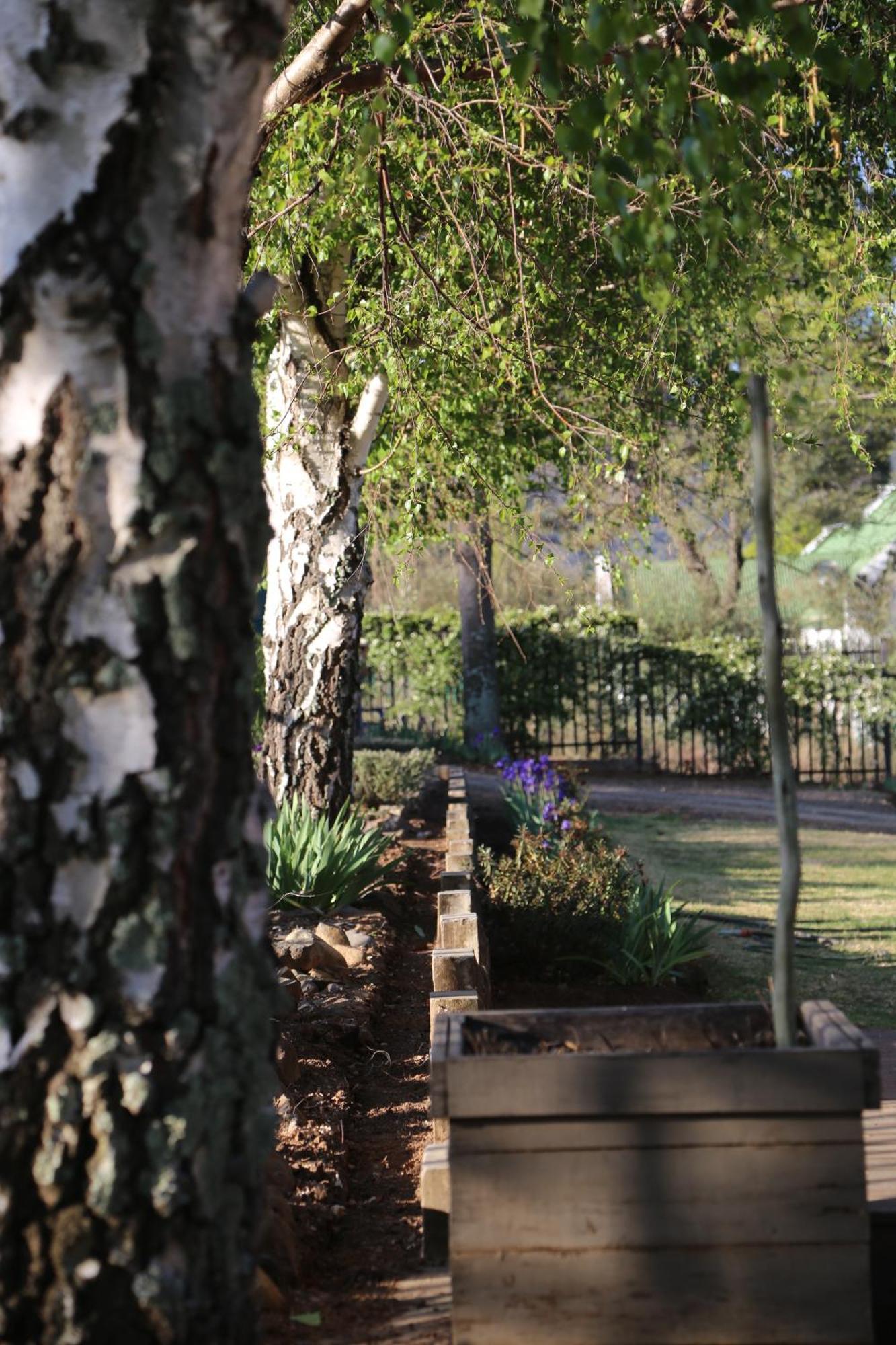 Mt Horeb Manor Clarens Exterior foto